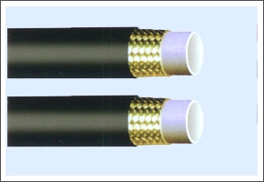 䓽z(qing)߉(sh)֬ܛ